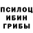 Галлюциногенные грибы мицелий Shraibhand