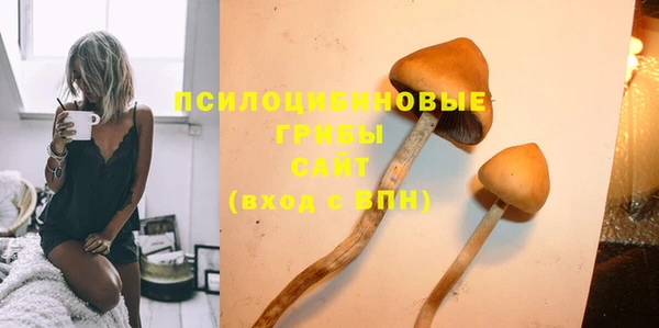 дмт Надым