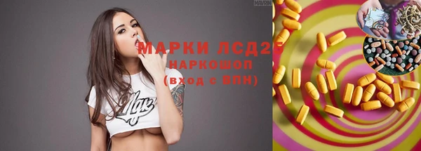 дмт Надым