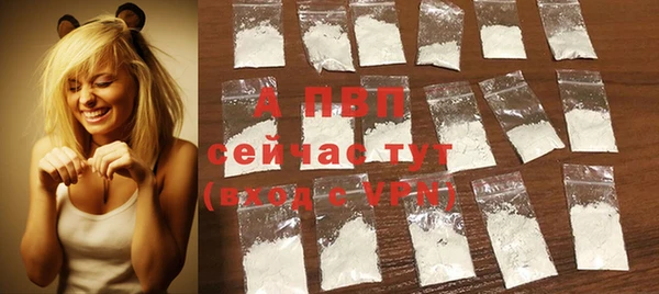 дмт Надым