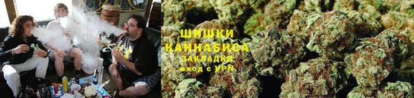 крисы Наволоки