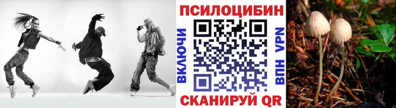 Псилоцибиновые грибы Cubensis  продажа наркотиков  Новая Ляля 